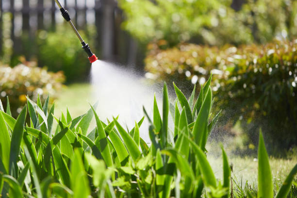 Tamper-Resistant Bait Stations for Rodents in Grayson