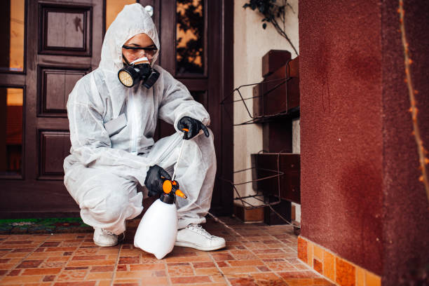 Attic and Crawl Space Rodent Treatment in Grayson