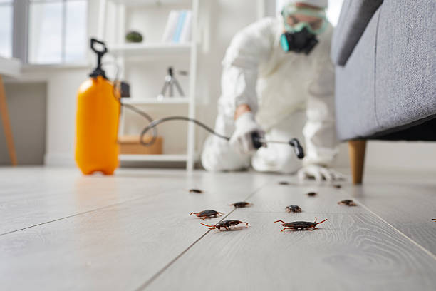 Commercial Rodent Management in Grayson